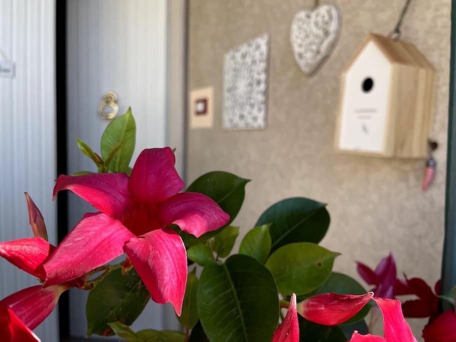 Annali Casa Vacanze - Shabby Style Nella Natura Λα Σπέτσια Εξωτερικό φωτογραφία